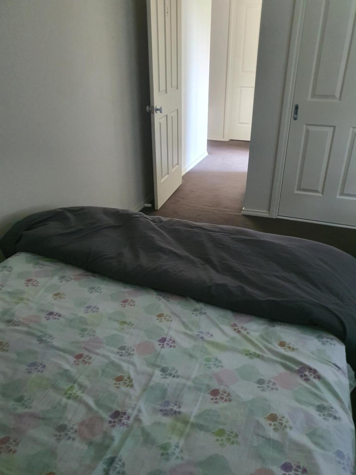 Apartment Comfort *